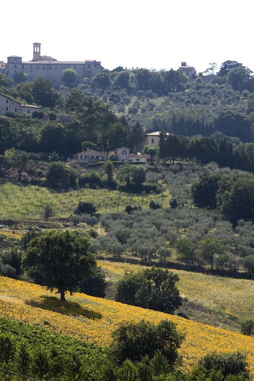 Agriturismo Il Girasole Монтефалько Экстерьер фото