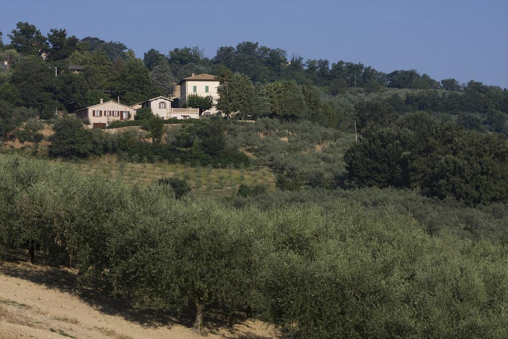 Agriturismo Il Girasole Монтефалько Экстерьер фото