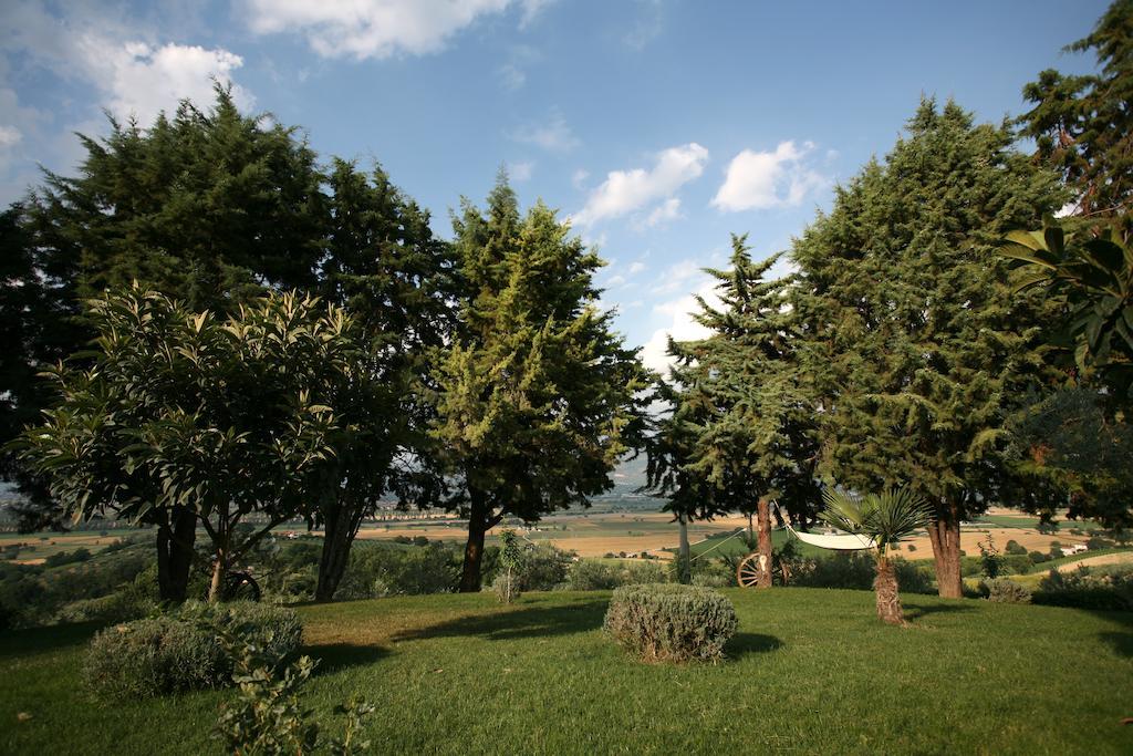 Agriturismo Il Girasole Монтефалько Номер фото
