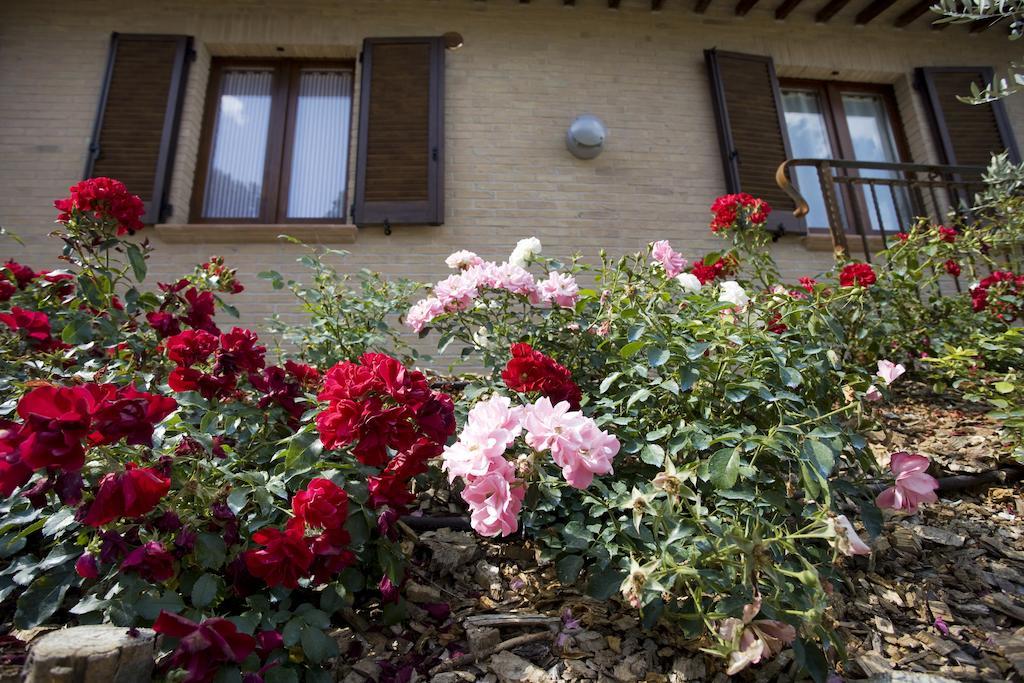 Agriturismo Il Girasole Монтефалько Номер фото