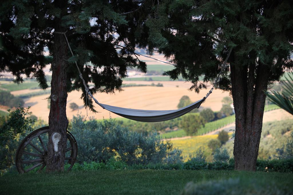 Agriturismo Il Girasole Монтефалько Экстерьер фото